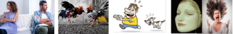 various smaller images elaborating the vulnerability cycle